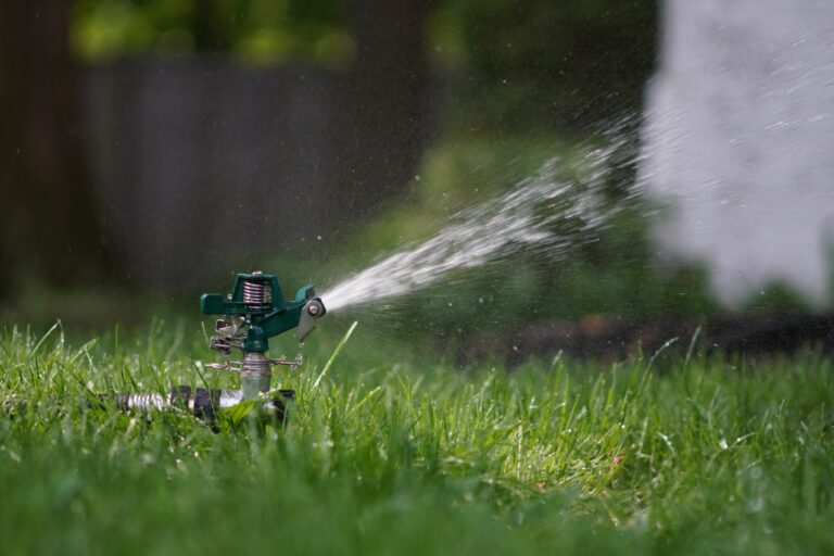 The 10 BEST Lawn Care Services  in Calgary